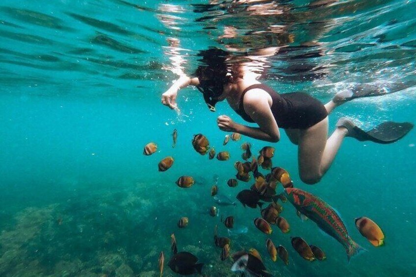 Nusa Penida - snorkeling