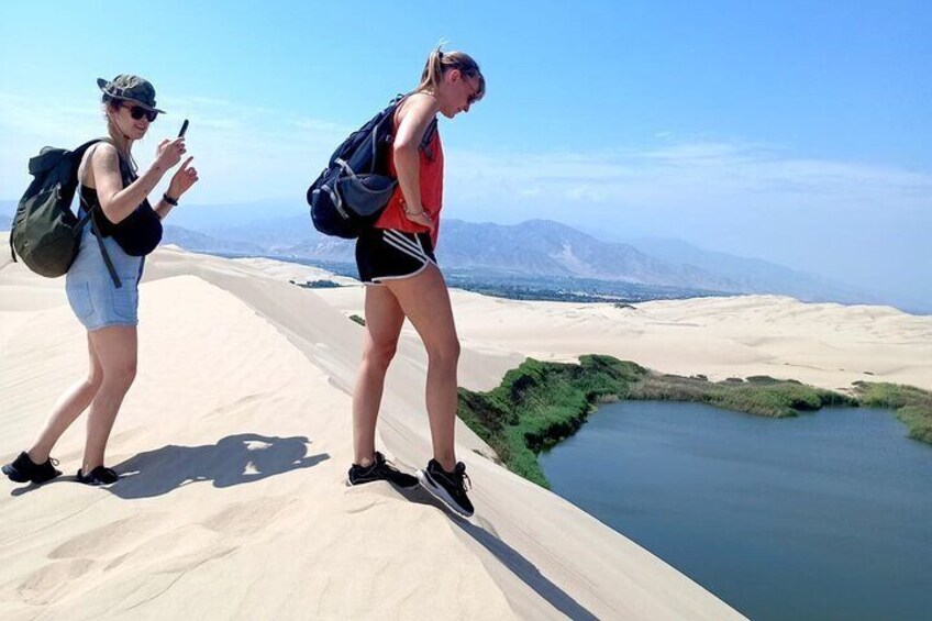 Exploring the Oasis.