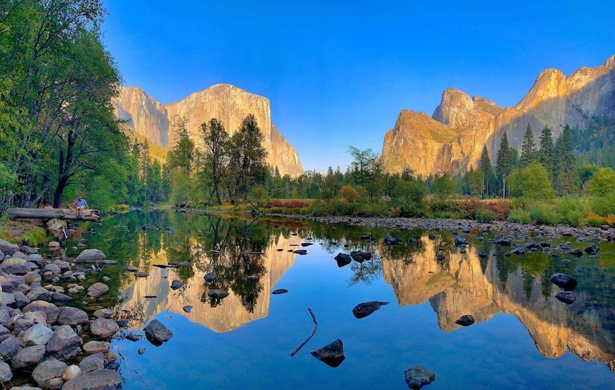 SF: Yosemite National Park Tour with Optional Alcatraz Visit