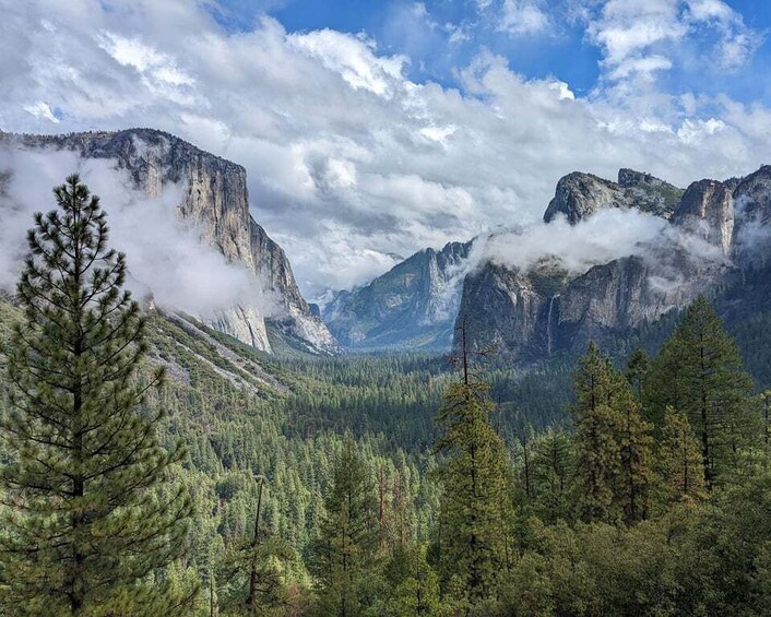 Picture 10 for Activity SF: Yosemite National Park Tour with Optional Alcatraz Visit