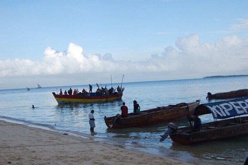 Prison Island Half Day Sea Trip with Transfers - Zanzibar