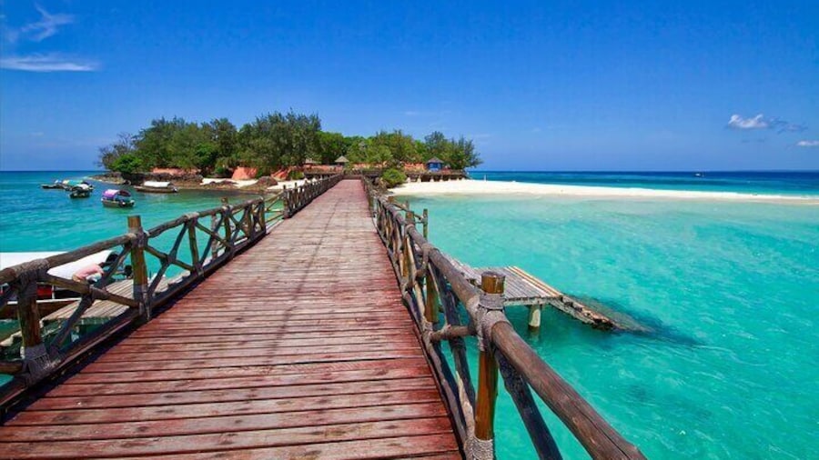 Prison Island Half Day Sea Trip with Transfers - Zanzibar