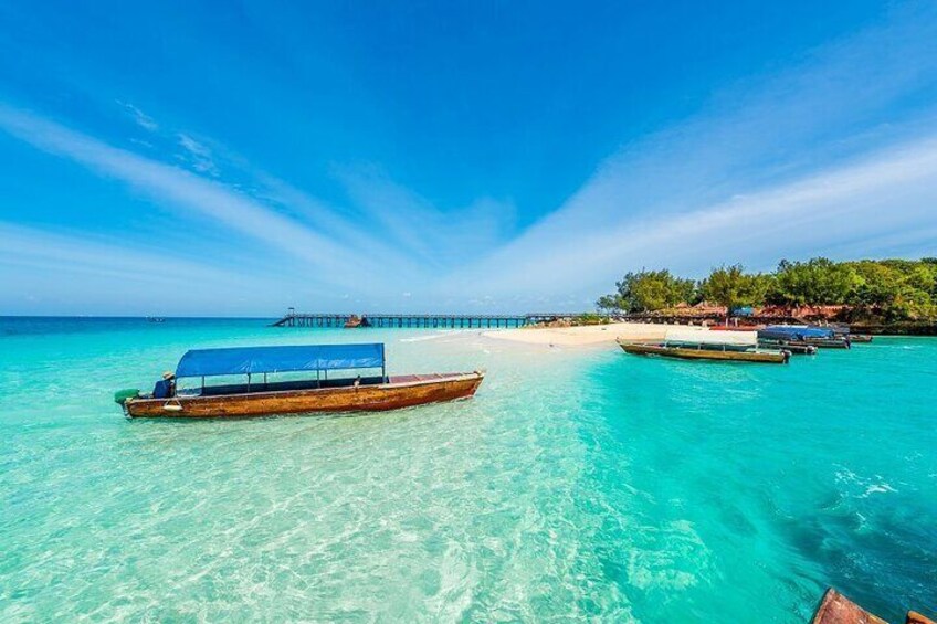 Prison Island Half Day Sea Trip with Transfers - Zanzibar