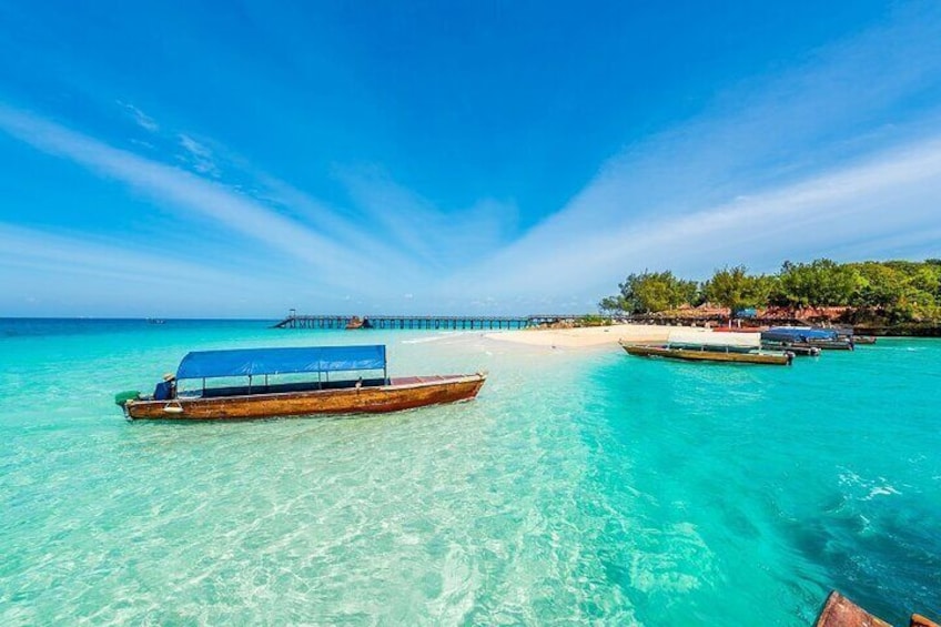 Prison Island Half Day Sea Trip with Transfers - Zanzibar