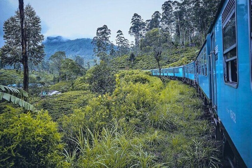 Kandy to Ella Train Tickets.