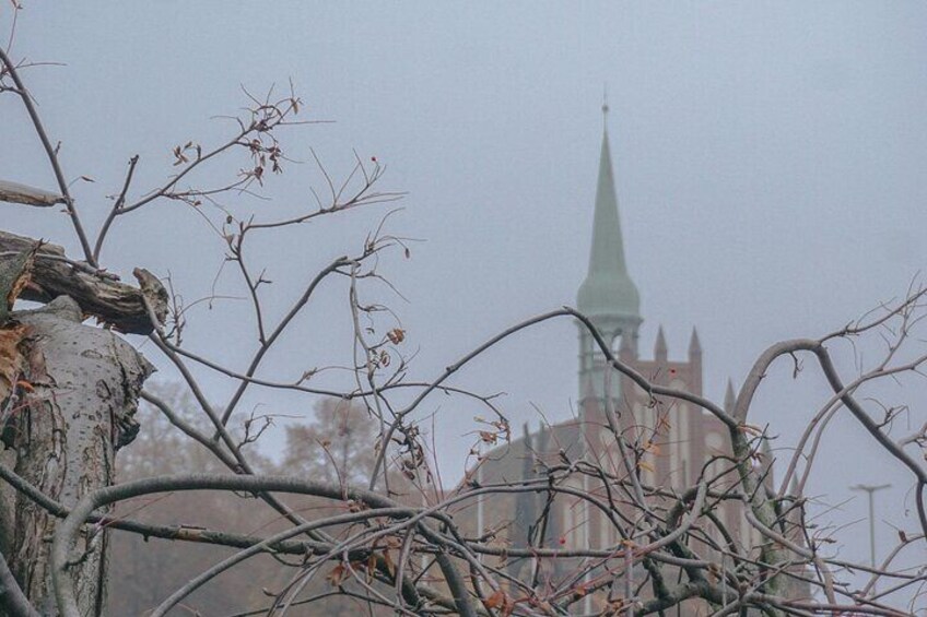 Discover Szczecin: 11 Hour Day Tour from Berlin