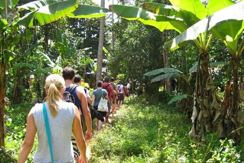 Stone Town Historical & Cultural Walking Adventure – Zanzibar
