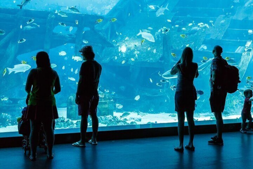 Alanya: Aquarium, Wax Museum, Snow World, Wild Park, XD Cinema