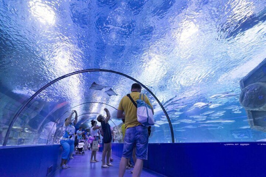 Alanya: Aquarium, Wax Museum, Snow World, Wild Park, XD Cinema
