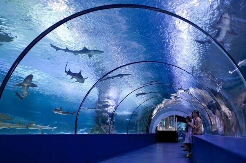 Alanya: Aquarium, Wax Museum, Snow World, Wild Park, XD Cinema