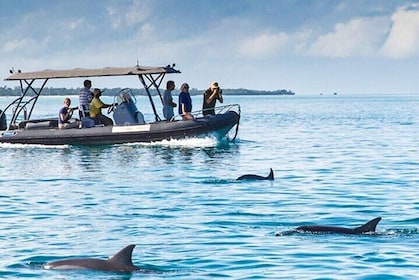 Gita di mezza giornata e snorkeling con trasferimento - Zanzibar