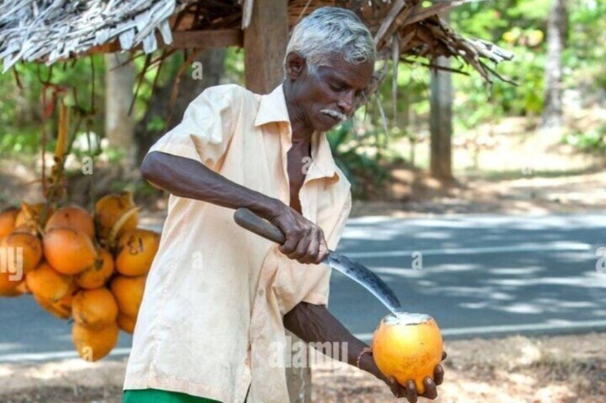 Sightseeing Day Trips From Negombo By Private Car
