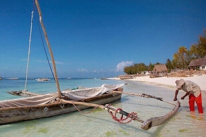 Nungwi Village & Swim with Sea Turtles With Transfer - Zanzibar