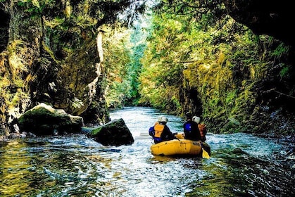 White Salmon River Rafting - Full Day
