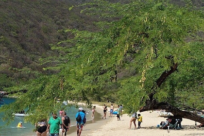 Al Tayrona yacht experience