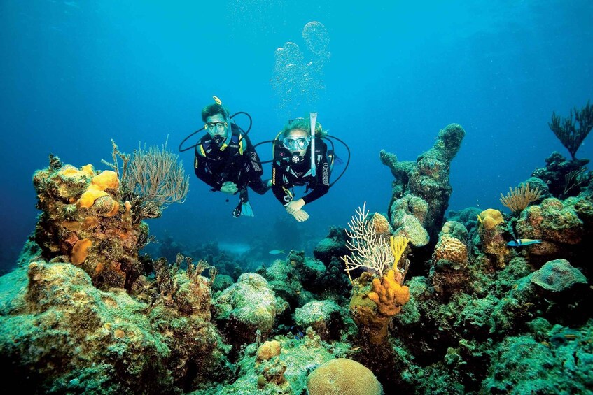 Picture 3 for Activity Playa del Carmen: PADI Advance Open Water in Riviera Maya