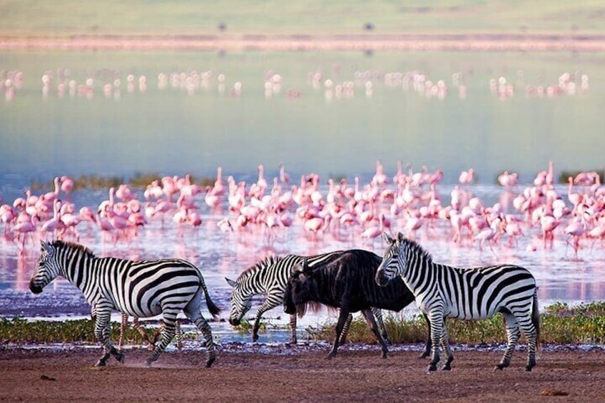Lake Manyara
