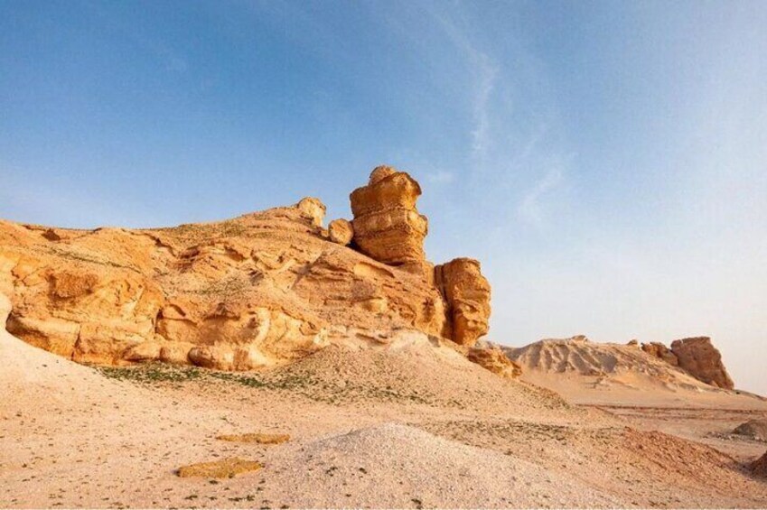 Experience Qassim’s Rich Heritage: A Full-Day Cultural Discovery