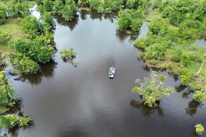 Boat Safari in Rio Frio