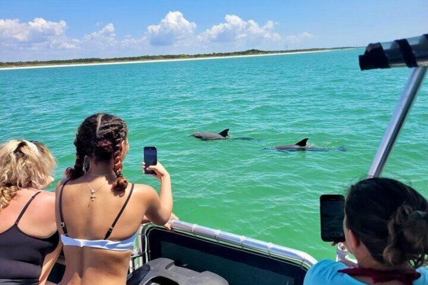 Private 4 Hour Shell Key Island Adventure Dolphins and Shells
