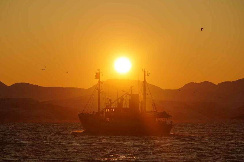 Picture 4 for Activity Lofoten Islands: Skrova Dinner Cruise