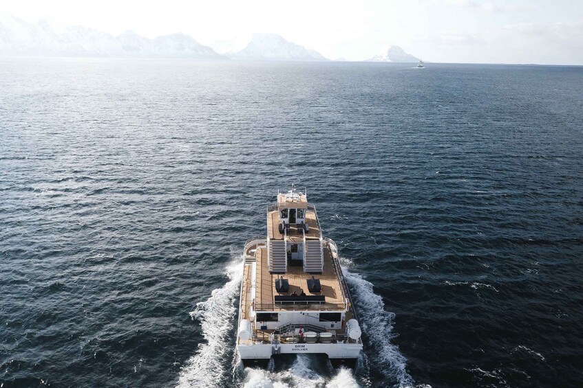 Lofoten Islands: Skrova Dinner Cruise