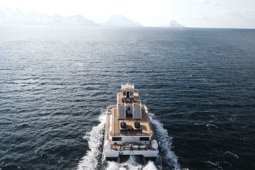 Lofoten Islands: Skrova Dinner Cruise