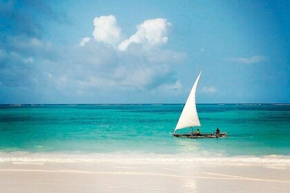 8 Day Safari and Beach Escape Zanzibar Serenity and Selous Tour