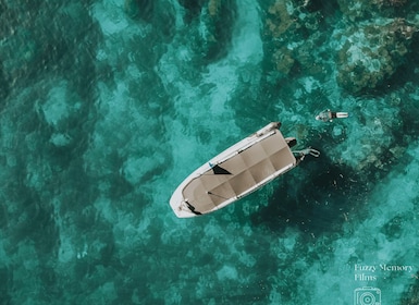Coromandel: Aldermen Islands Nature Reserve Boat Tour