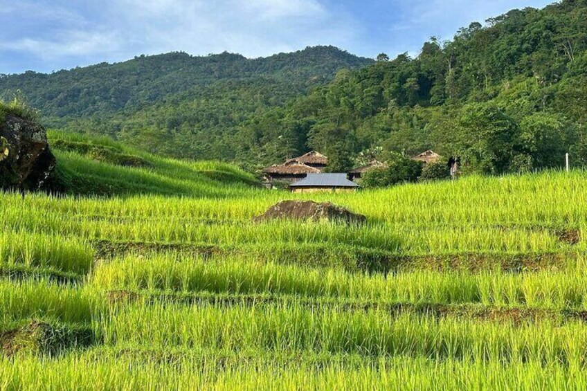 Pu Luong to Ninh Binh & Ninh Binh to Pu Luong 3 Days 2 Nights