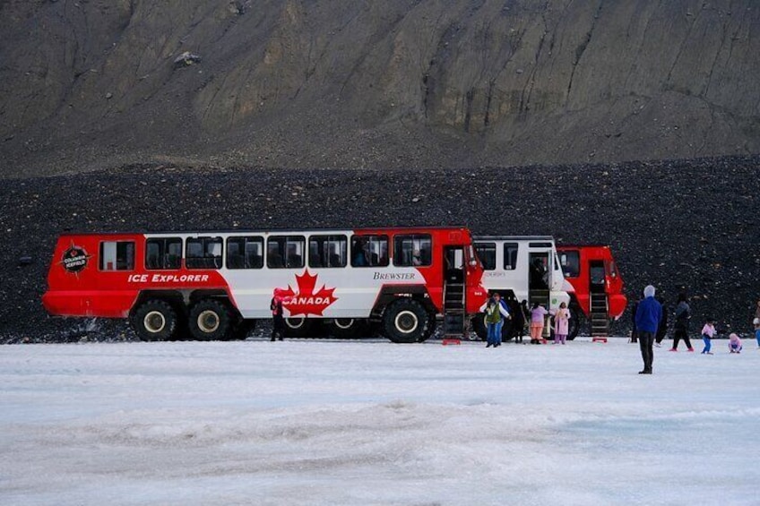 Icefield Parkway Day tour