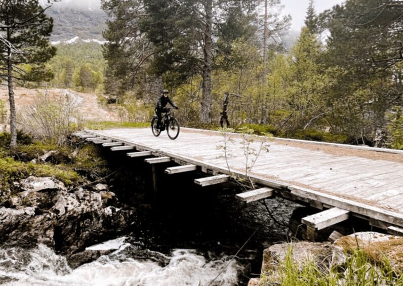 Picture 2 for Activity Molde: Highlights of Molde Guided Tour by e-Bike
