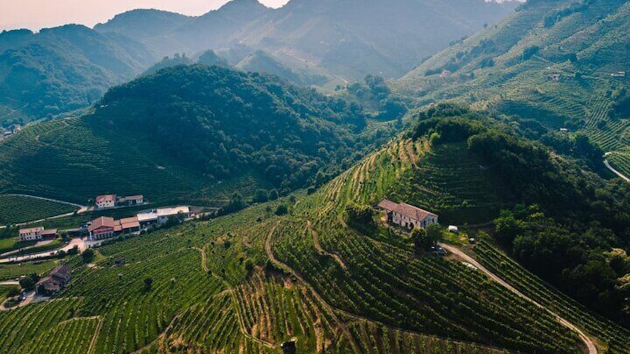 Experience Prosecco Hills with Wine and Food from Venice