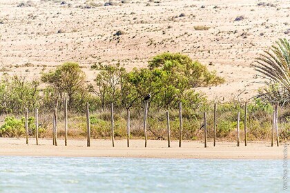 Sahara Desert Excursion from Agadir