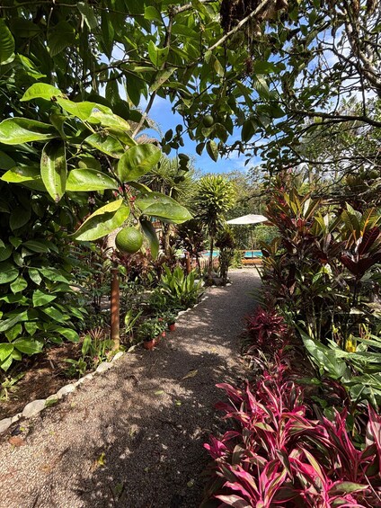 Picture 1 for Activity Mindo: Cloud Forest Riverfront Massage