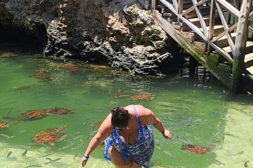 Mnemba Island and Kendwa Sunset Tour with Baraka Aquarium