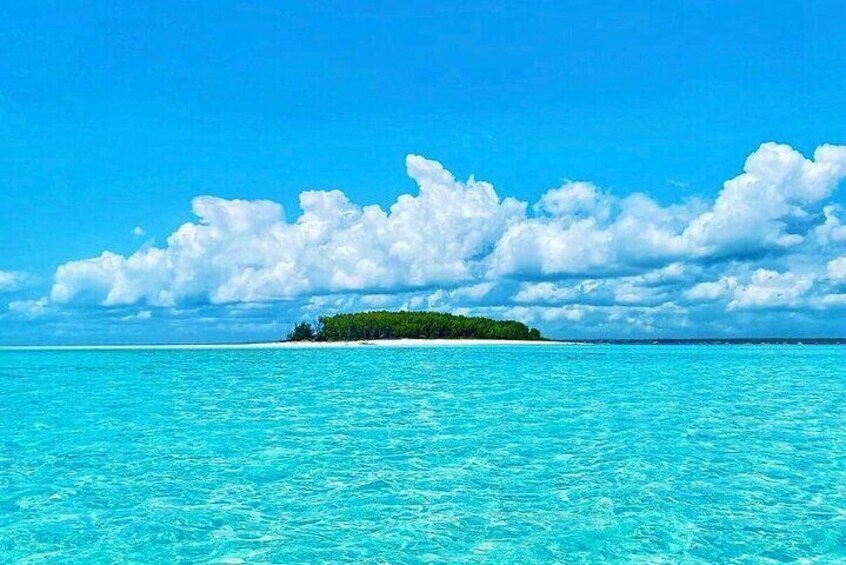 Mnemba Island and Kendwa Sunset Tour with Baraka Aquarium