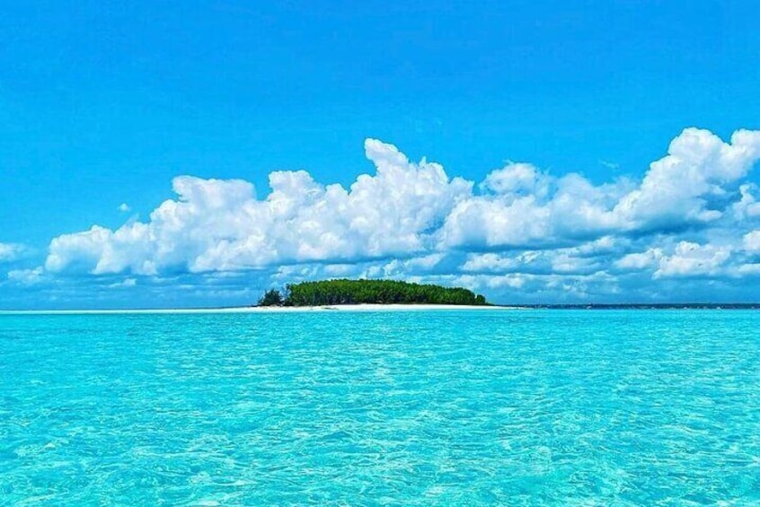 Mnemba Island and Kendwa Sunset Tour with Baraka Aquarium