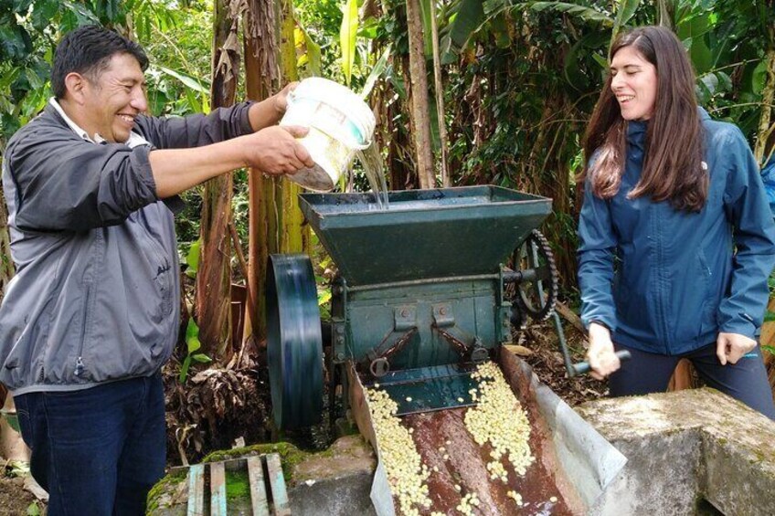 Minca Tour with Hidden Waterfall Cocoa and Coffee Workshop