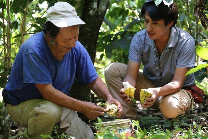 Minca Tour with Hidden Waterfall Cocoa and Coffee Workshop