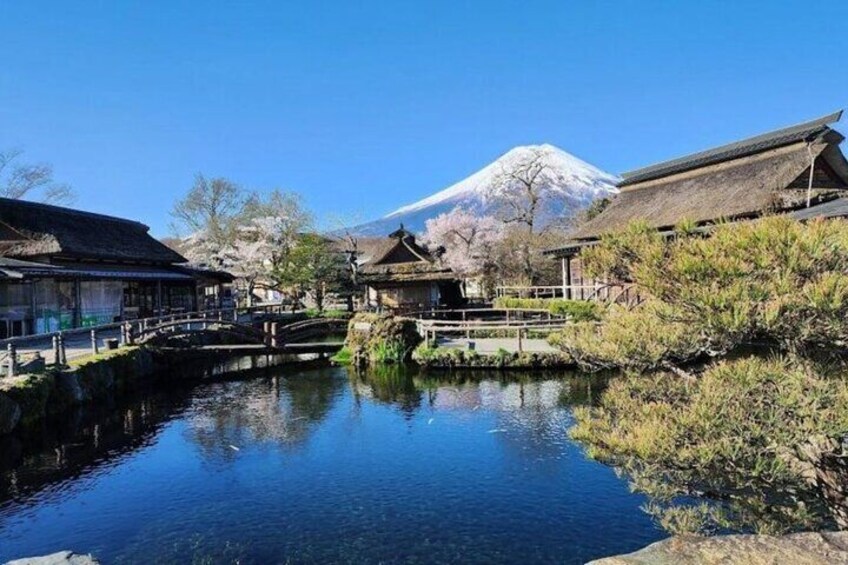 Mt Fuji Private Day Trip from Tokyo with English speaking driver
