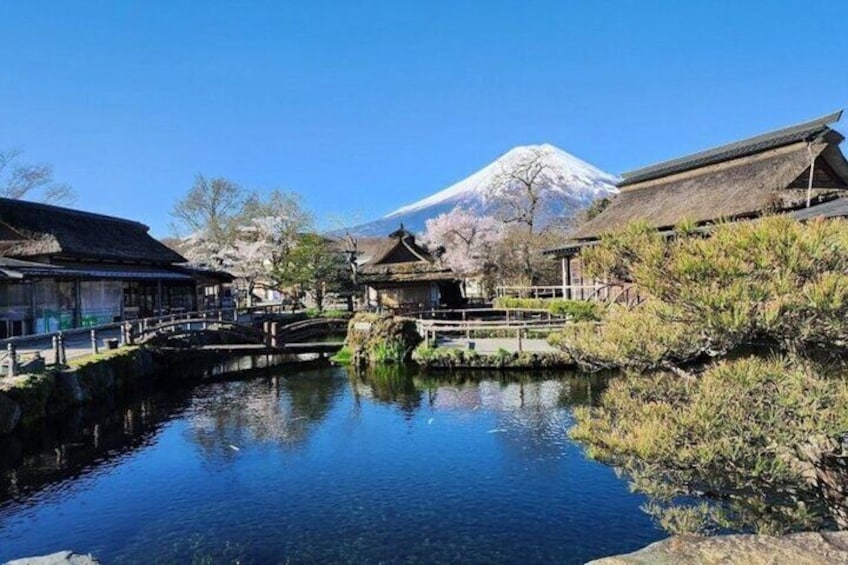 Mt Fuji Private Day Trip from Tokyo with English speaking driver