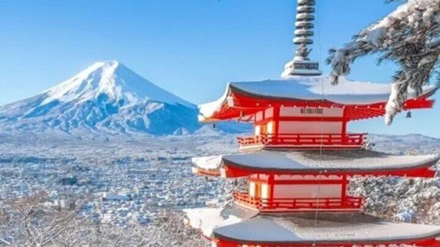 Mt Fuji Private Day Trip from Tokyo with English speaking driver