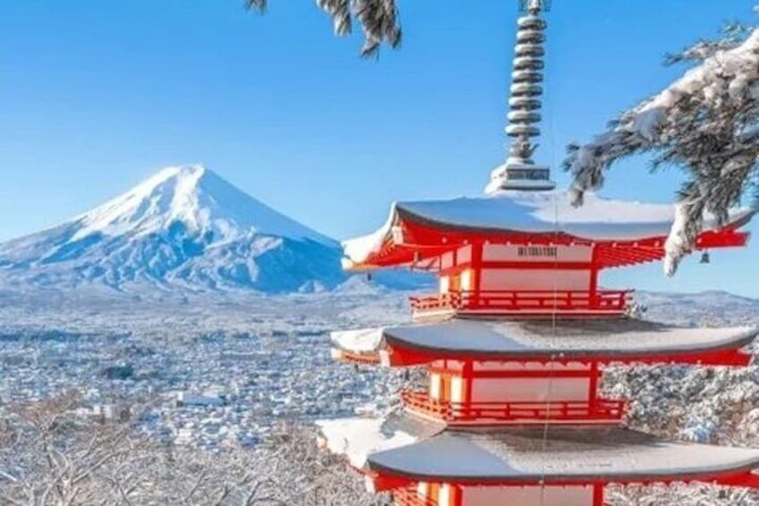 Mt Fuji Private Day Trip from Tokyo with English speaking driver