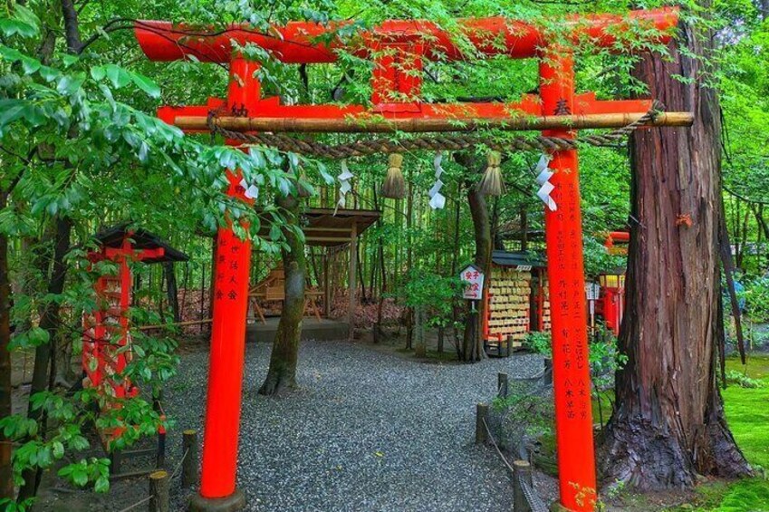  Fushimi Inari Taisha, Nara Park & Arashiyama Bamboo Forest