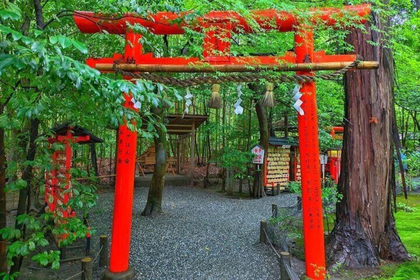 Fushimi Inari Taisha, Nara Park & Arashiyama Bamboo Forest