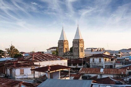 Jozani Forest & Stone Town Tour Experience With Transfer-Zanzibar