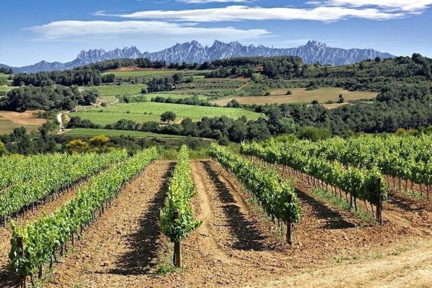 Supercar Half Day Tour to a Catalan Winery from Barcelona