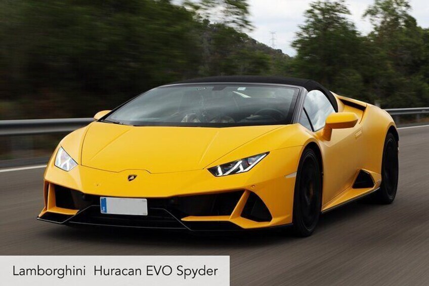 Supercar Half Day Tour to a Catalan Winery from Barcelona