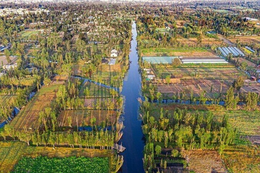 3X1 Tour in Xochimilco UNAM and Coyoacan